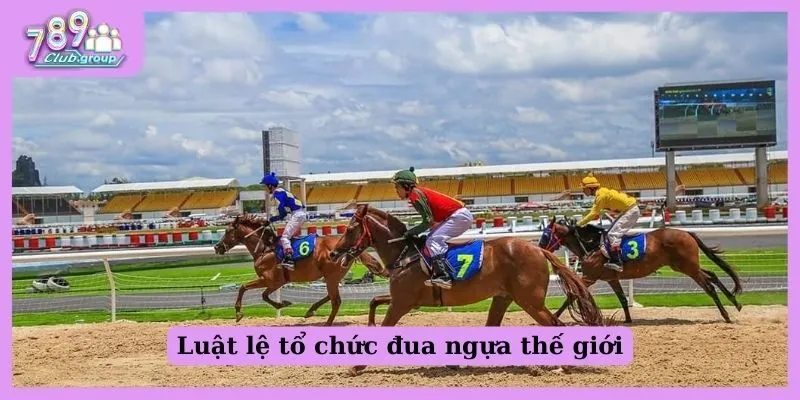 Luật lệ tổ chức trận đua ngựa thế giới