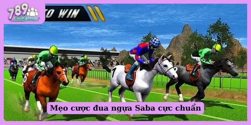 Mẹo cược đua ngựa Saba chuyên nghiệp như cao thủ