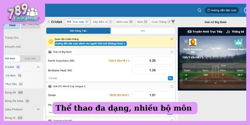 Thể thao đa dạng, nhiều bộ môn