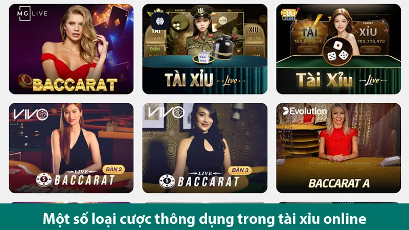 Tham khảo cách kết hợp các loại cược trong tài xỉu hiệu quả cho bet thủ