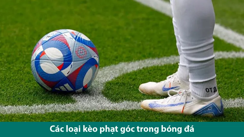Tổng hợp các loại kèo phạt góc trong cá độ bóng đá 